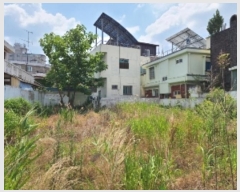  2024Ÿ70433    156       ()