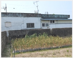  2024Ÿ��71023 ���� ���걸 ���׵� 125-5       ����(����)���