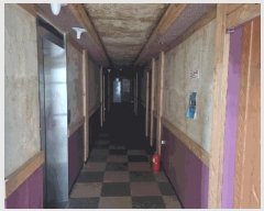  2024Ÿ71337  ȭ  ȭ 304-4      ڽü,,ȣ,