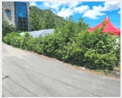  2024Ÿ71337  ȭ  ȭ 304-4      ڽü,,ȣ,