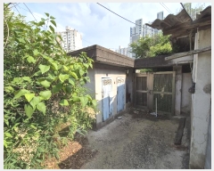  2024Ÿ��71771 ���� �ϱ� �Ű 61       ���ð��