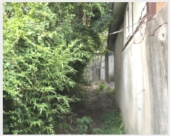  2024Ÿ��71771 ���� �ϱ� �Ű 61       ���ð��