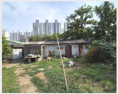  2024Ÿ��71771 ���� �ϱ� �Ű 61       ���ð��