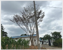  2024Ÿ��72620 ���� ���ֽ� ��Ȳ�� ������ 472      ����(��1)���