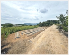  2024Ÿ��72620 ���� ���ֽ� ��Ȳ�� ������ 472      ����(��1)���