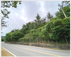  2024Ÿ��72842  �Ӿ߰��