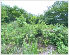  2024Ÿ��72842  �Ӿ߰��