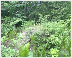  2024Ÿ��72842  �Ӿ߰��