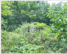  2024Ÿ��72842  �Ӿ߰��