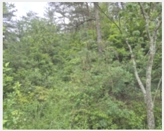  2024Ÿ��72842  �Ӿ߰��