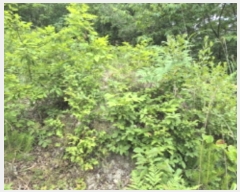  2024Ÿ��72842  �Ӿ߰��