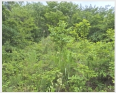  2024Ÿ��72842  �Ӿ߰��