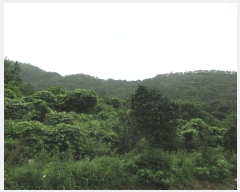  2024Ÿ��75049  �Ӿ߰��