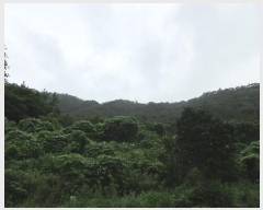  2024Ÿ��75049  �Ӿ߰��