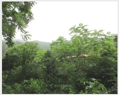  2024Ÿ��75049  �Ӿ߰��