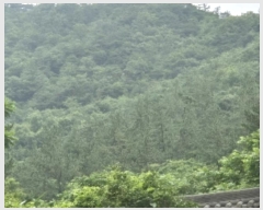  2024Ÿ��75049  �Ӿ߰��