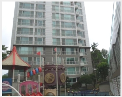  2024Ÿ��75223  ����Ʈ���