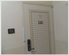  2024Ÿ��75223  ����Ʈ���