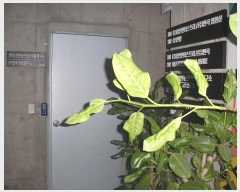  2024Ÿ��75568 ���� ���� ���̵� 393       �ٸ��ü�,�󰡰��