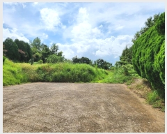  2024Ÿ��77397 ���� ���걸 ���� 483-5       ����(�Ӿ�)���