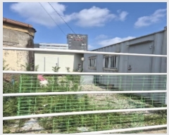  2024Ÿ77441  ϱ  7-26       ()