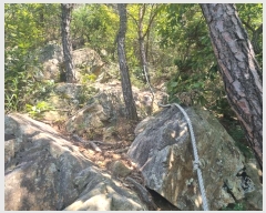  2024Ÿ��78772 ���� ȭ���� ���� ����� ��1      ����(�Ӿ�)���