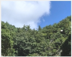  2024Ÿ��78772 ���� ȭ���� ���� ����� ��1      ����(�Ӿ�)���