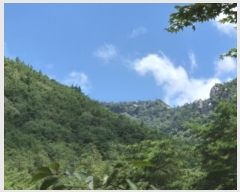  2024Ÿ��78772 ���� ȭ���� ���� ����� ��1      ����(�Ӿ�)���