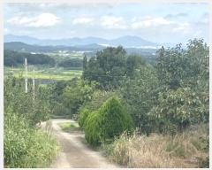  2024Ÿ80270  ֽ Ȳ öõ 74      ()