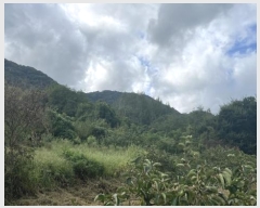  2024Ÿ80270  ֽ Ȳ öõ 74      ()