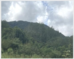  2024Ÿ80270  ֽ Ȳ öõ 74      ()