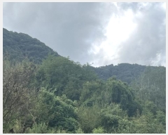  2024Ÿ80270  ֽ Ȳ öõ 74      ()