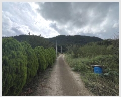  2024Ÿ80270  ֽ Ȳ öõ 74      ()