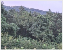  2024Ÿ80270  ֽ Ȳ öõ 74      ()