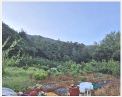  2024Ÿ80270  ֽ Ȳ öõ 74      ()