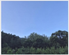  2024Ÿ80270  ֽ Ȳ öõ 74      ()