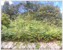  2024Ÿ��81600  �Ӿ߰��