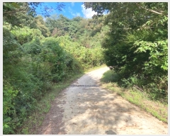  2024Ÿ��81600  �Ӿ߰��