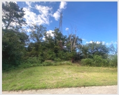  2024Ÿ��81600  �Ӿ߰��