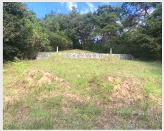  2024Ÿ��81600  �Ӿ߰��