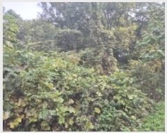  2024Ÿ��81600  �Ӿ߰��