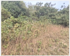  2024Ÿ��81600  �Ӿ߰��