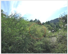  2024Ÿ82047  强  ɸ 671-2      ()