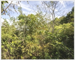  2024Ÿ82047  强  ɸ 671-2      ()