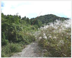  2024Ÿ82047  强  ɸ 671-2      ()