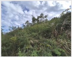  2024Ÿ82047  强  ɸ 671-2      ()