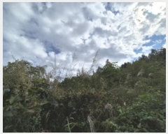  2024Ÿ82047  强  ɸ 671-2      ()