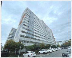  2024Ÿ��82184  ����Ʈ���