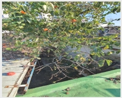  2024Ÿ��84340 ���� ���� ������ 174-5       ���ð��