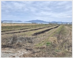  2024Ÿ��85169 ���� ���ֽ� �հ�� ��� 139-2      ����(��)���